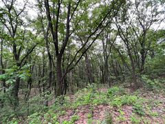 -帽儿山国家森林公园