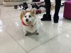 -浙北皮革广场(同济路店)
