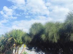 -深圳湾公园(南山区)
