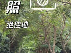-贤江公园
