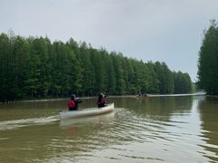 -上海海湾国家森林公园