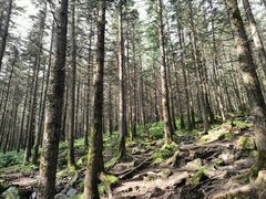 -芦芽山旅游度假区