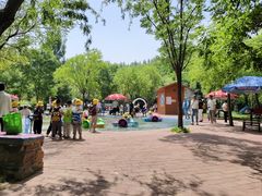 -西部长青自然儿童乐园