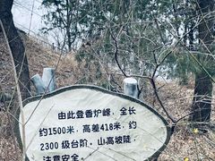 -香山公园