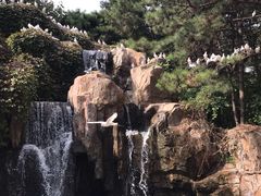 -燕塞湖鸟语林景区