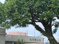 -大炮台
