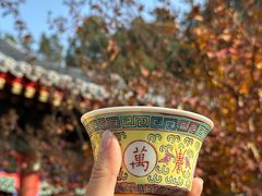 -宫事颐庭·老佛爷贵寿下午茶(颐和园店)