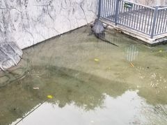 -深圳野生动物园