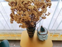 -CICI纤美·科技减肥美容