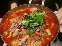 -绿茶餐厅(同成街华联店)