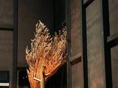 -LANN I 蘭 泰式古法按摩(徐家汇城开YOYO店)
