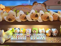 -国家会议中心大酒店