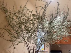 -阿南达·瑜伽普拉提·阿育吠陀疗愈中心