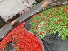 -天目湖御水温泉·度假酒店