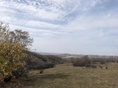 -御道口草原森林风景区