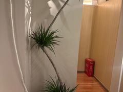 -青曼SPA·按摩·采耳·足道(龙之梦店)
