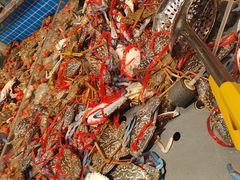 -一方渔歌蒸汽海鲜自助(文化路万达广场店)