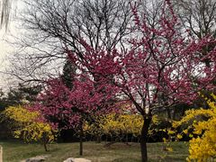 -元大都城垣遗址公园