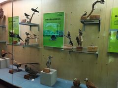 -陕西自然博物馆