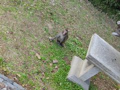 -苏州上方山国家森林公园