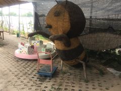 -庞各庄翠芳园西瓜蔬菜基地采摘园