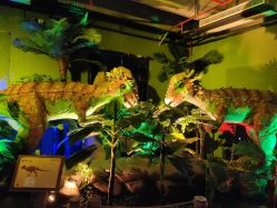 -恐龙探索乐园(磁器口店)