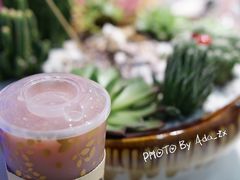 -九秋茶铺(三里屯店)