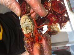 -靓靓蒸虾·头牌蒸虾(南山桂庙店)
