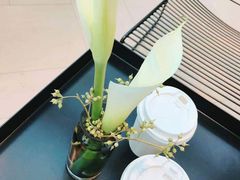 -Seesaw Coffee(上海国金中心店)