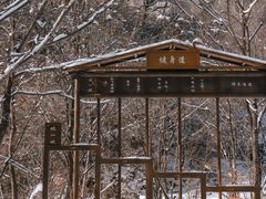 -青峰峡国家森林公园