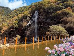 -少华山国家森林公园