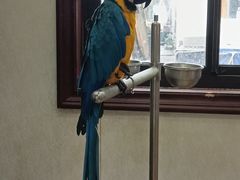 -观桥阁(锦溪店)