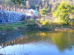 android_upload_pic-广州市石门国家森林公园