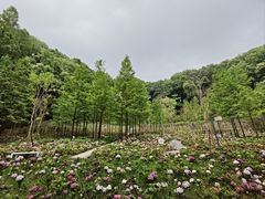 -忠山公园