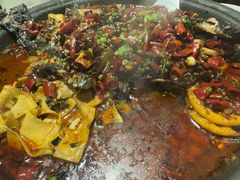 -锦尚阁烤鱼(望京新荟城店)