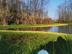 -桤木河湿地公园