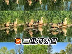 -三里河公园