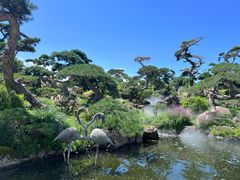 -罗红摄影艺术馆