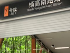 -杨高南路(地铁站)
