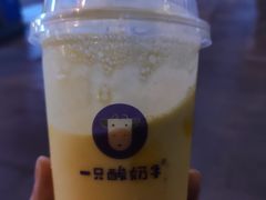 -一只酸奶牛(八一路店)