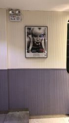 点击看大图 -PE SALON