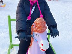 -绿野森林乐园冰雪季