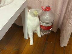 -七欣天香辣蟹火锅(南京建宁路大观天地店)
