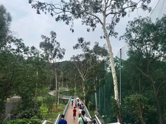 -广州雕塑公园