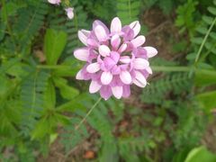 -汉长安城未央宫国家考古遗址公园