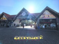 -上海海湾国家森林公园