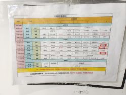 -秦皇星际小蚂蚁乐园