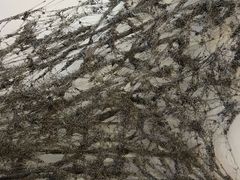 -启皓中心