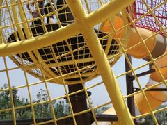 -枫香湖儿童公园