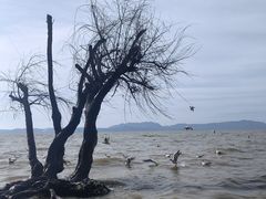 -捞渔河湿地公园